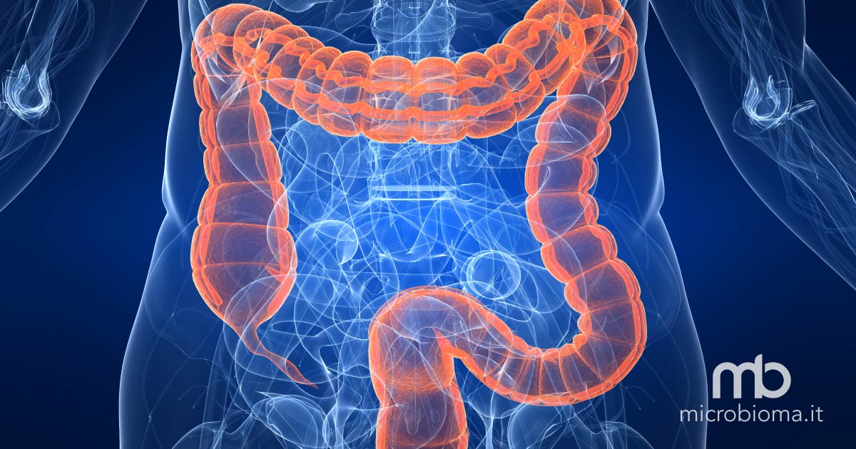 parassiti intestinali metaboliti del microbioma riducono il rischio di infezione