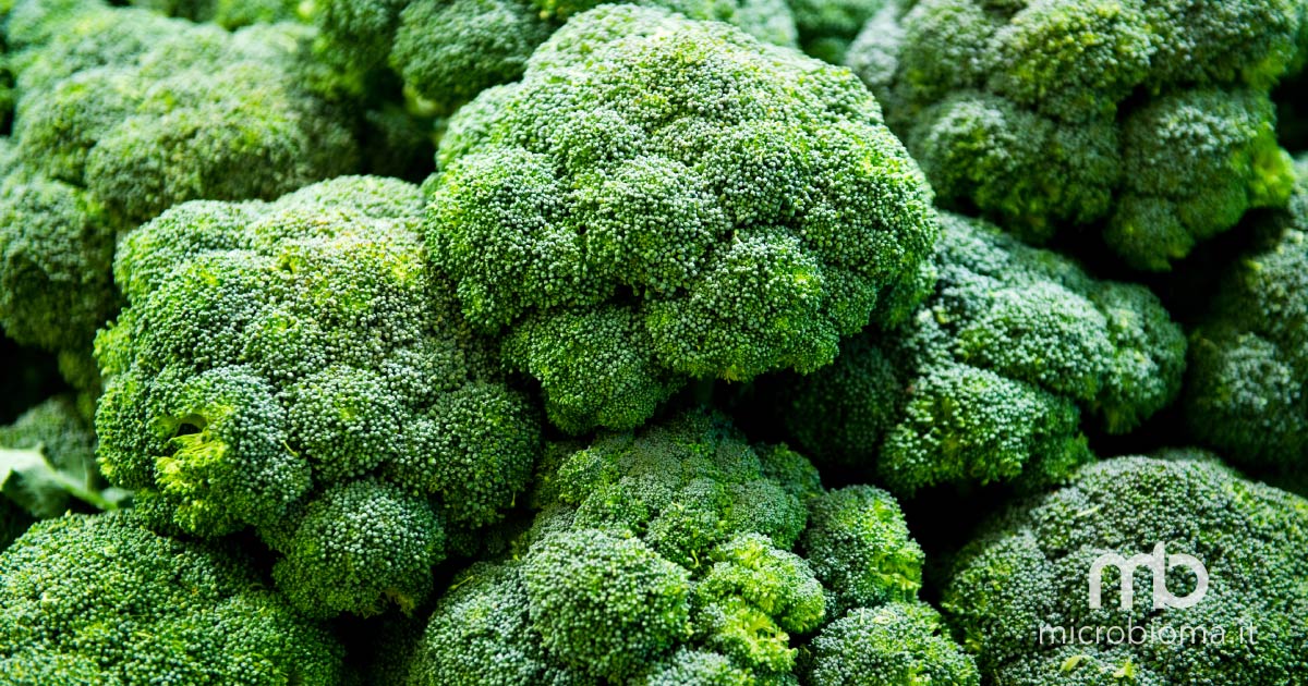 I broccoli migliorano il microbiota e prevengono l’aumento di peso