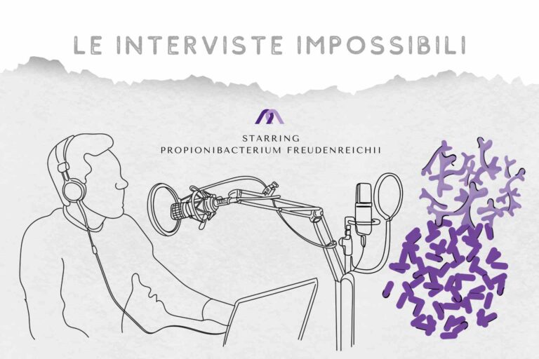 <i>Propionibacterium freudenreichii</i>: «Basta col formaggio svizzero. Cerco un altro lavoro»